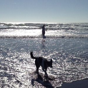 Meet your Posher, Celena